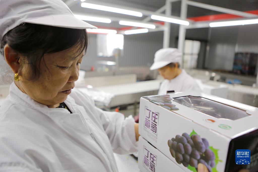 至尊e乐注册网站